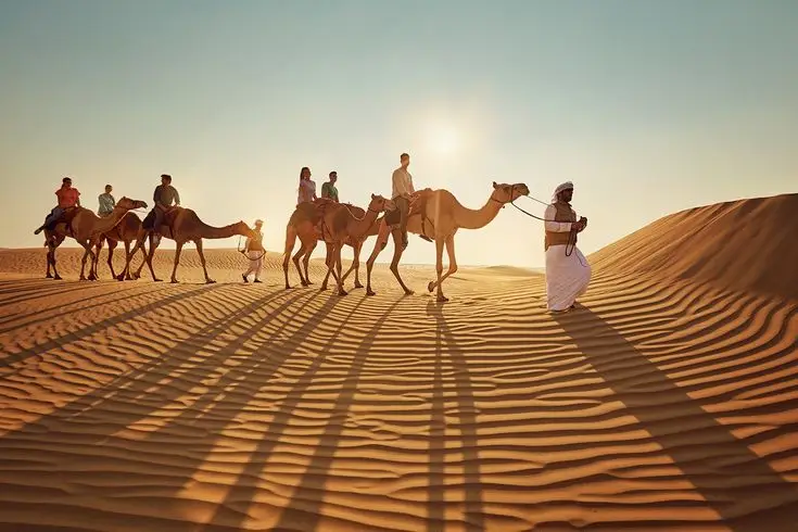 best camel ride Dubai