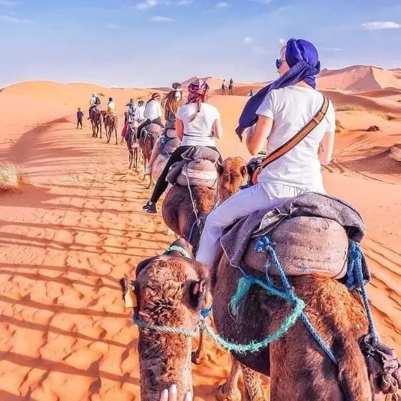 dubai desert safari camel ride